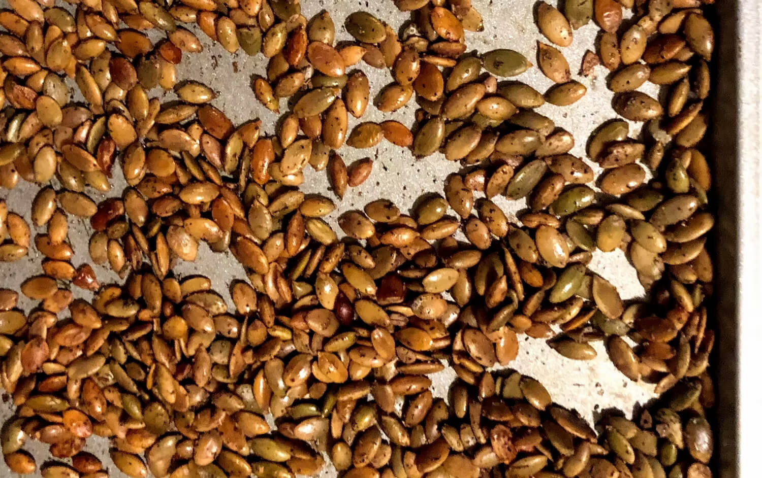 Savory Roasted Pumpkin Seeds