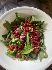 Backcountry Nutrition Consultation